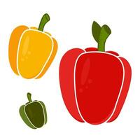 flat illustration of red, green and yellow peppers on white background vector