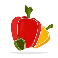 flat illustration of red, green and yellow peppers on white background vector