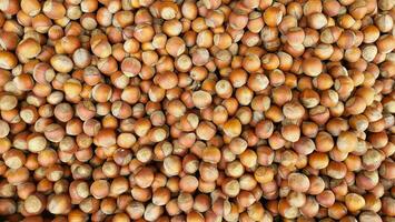 Hazelnut background. The concept of an autumn background made of organic brown hazelnuts. photo