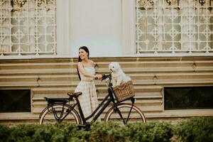 A young woman with a bichon dog in a bicycle basket takes a leisurely ride photo