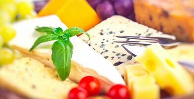 Tasty cheese background photo