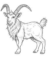 mountain markhor coloring pages vector