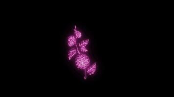 neon bloem lichten omhoog geanimeerd abstract beweging Aan zwart achtergrond video