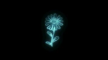 Neon flower lights up animated abstract motion on black background video