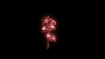 Neon flower lights up animated abstract motion on black background video