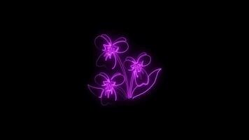 Neon flower lights up animated abstract motion on black background video