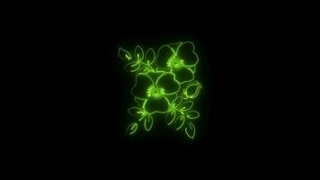 Neon flower lights up animated abstract motion on black background video