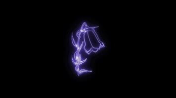 Neon flower lights up animated abstract motion on black background video