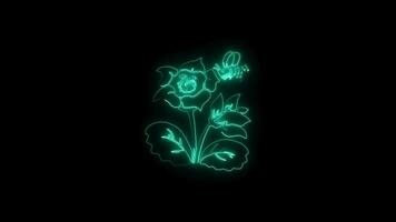 Neon flower lights up animated abstract motion on black background video