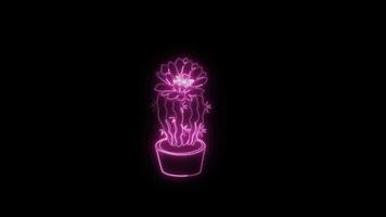 Neon flower lights up animated abstract motion on black background video