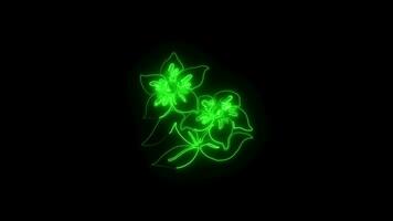 Neon flower lights up animated abstract motion on black background video