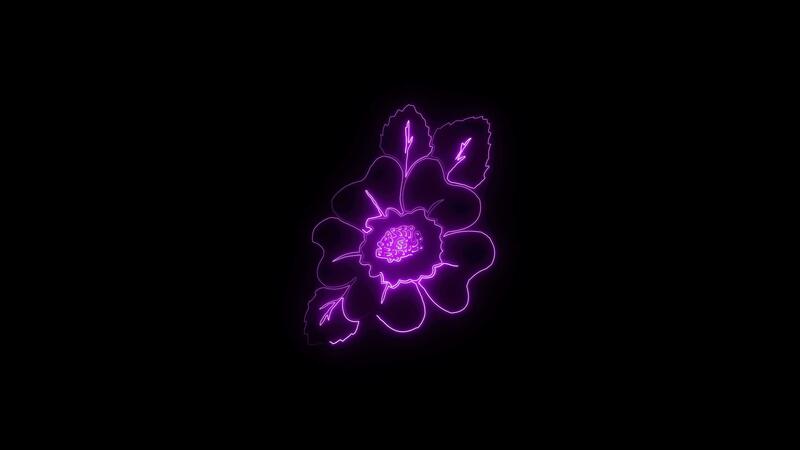 画材 Flor com um pouco de neon ineonlife Daisy Flower Neon Sign White Gold LED Neon Lights