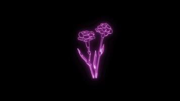 Neon flower lights up animated abstract motion on black background video