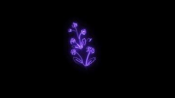 Neon flower lights up animated abstract motion on black background video