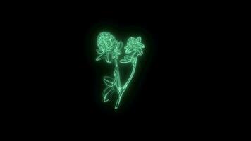 Neon flower lights up animated abstract motion on black background video