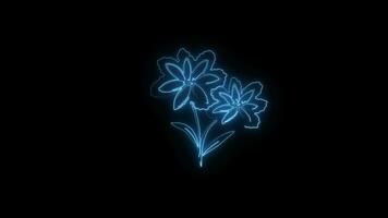 Neon flower lights up animated abstract motion on black background video