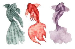 Set of stylized fish. Sea creatures. Simple design. Suitable for cards, invitations, brochures and prints, adding elegance to your design projects. Watercolor illustration. Hand drawing isolated. vector