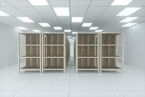 Rows of bookshelves in the bright room, 3d rendering. photo