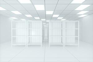 White shelves with white background, bright and spacious, 3d rendering. photo