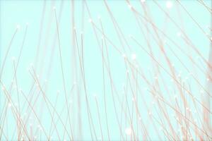 Flowing particles lines with white background, 3d rendering photo