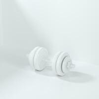 Dumbbells with white background, fitness theme, 3d rendeirng. photo
