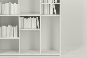 Bookshelf with books inside in the empty new house, 3d rendering. photo