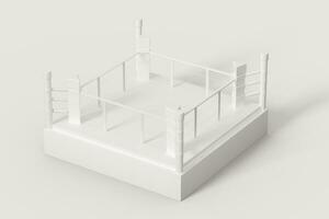 The arena with white background, 3d rendering. photo