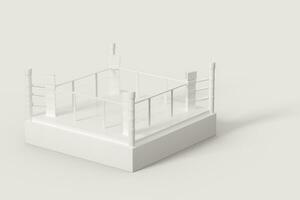 The arena with white background, 3d rendering. photo