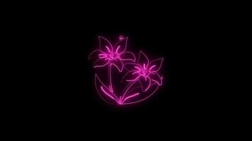 Neon flower lights up animated abstract motion on black background video