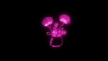 néon fleur lumières en haut Animé abstrait mouvement sur noir Contexte video