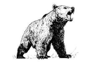 tinta mano dibujo bosquejo oso mascota o logotipo vector ilustración en grabado estilo.