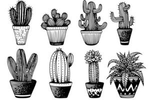 Set of cactus in engraving style vector illustration.Cactus hand drawn sketch imitation.