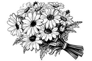 mano dibujado manzanilla tinta bosquejo. margarita ramo de flores grabado vector ilustración.