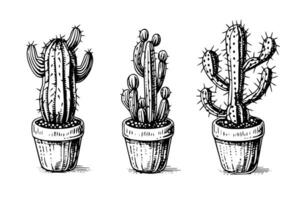 Set of cactus in engraving style vector illustration.Cactus hand drawn sketch imitation.