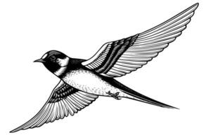 Ink sketch of flying swallow. Hand drawn engraving style vector illustration.