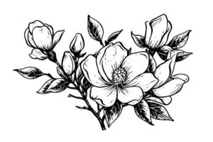 mano dibujado magnolia flor tinta bosquejo. grabado estilo vector ilustración.