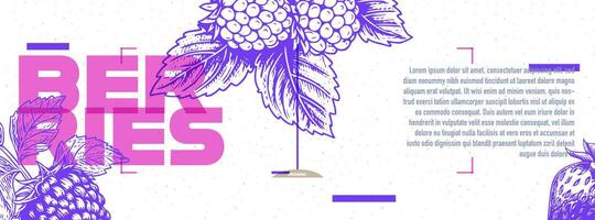 Pink and purple poster or banner design with strawberry in etching style with space for text. Vector illustration.