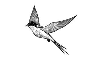 Ink sketch of flying swallow. Hand drawn engraving style vector illustration.