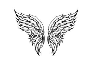 Angel wings ink sketch in engraving style. Hand drawn fenders vector illustration.