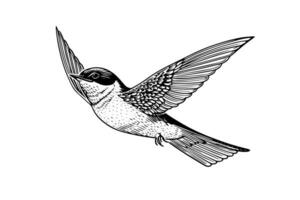 Ink sketch of flying swallow. Hand drawn engraving style vector illustration.