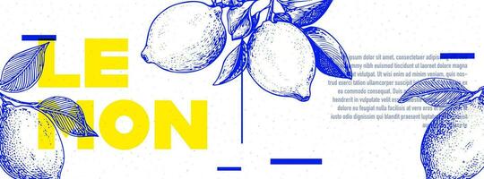 Yellow and blue poster or banner design with lemon in etching style with space for text. Vector illustration.