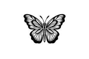 mariposa bosquejo. mano dibujado grabado estilo vector ilustración.