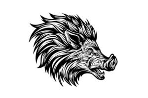 Boar or wild pig head drawing ink sketch, vintage engraved style vector illustration.