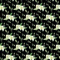 Jasmine flowers seamless pattern on black background vector