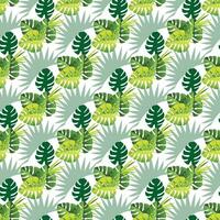 tropical palm monstera on white background Seamless Pattern Design vector