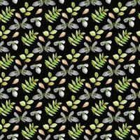 Snowdrop flower   leaf Seamless Pattern Design vector