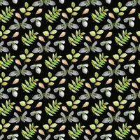 Snowdrop flower   leaf Seamless Pattern Design vector