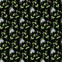 Snowdrop flower leaf Seamless Pattern Design vector