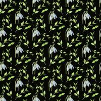 Snowdrop flower leaf Seamless Pattern Design vector