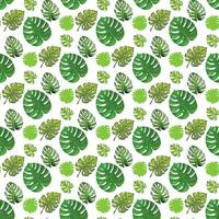 tropical leaf monstera on white background Seamless Pattern Design vector